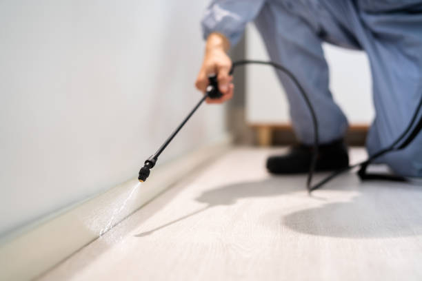 Certified termite inspector examining foundation in Baldwin
